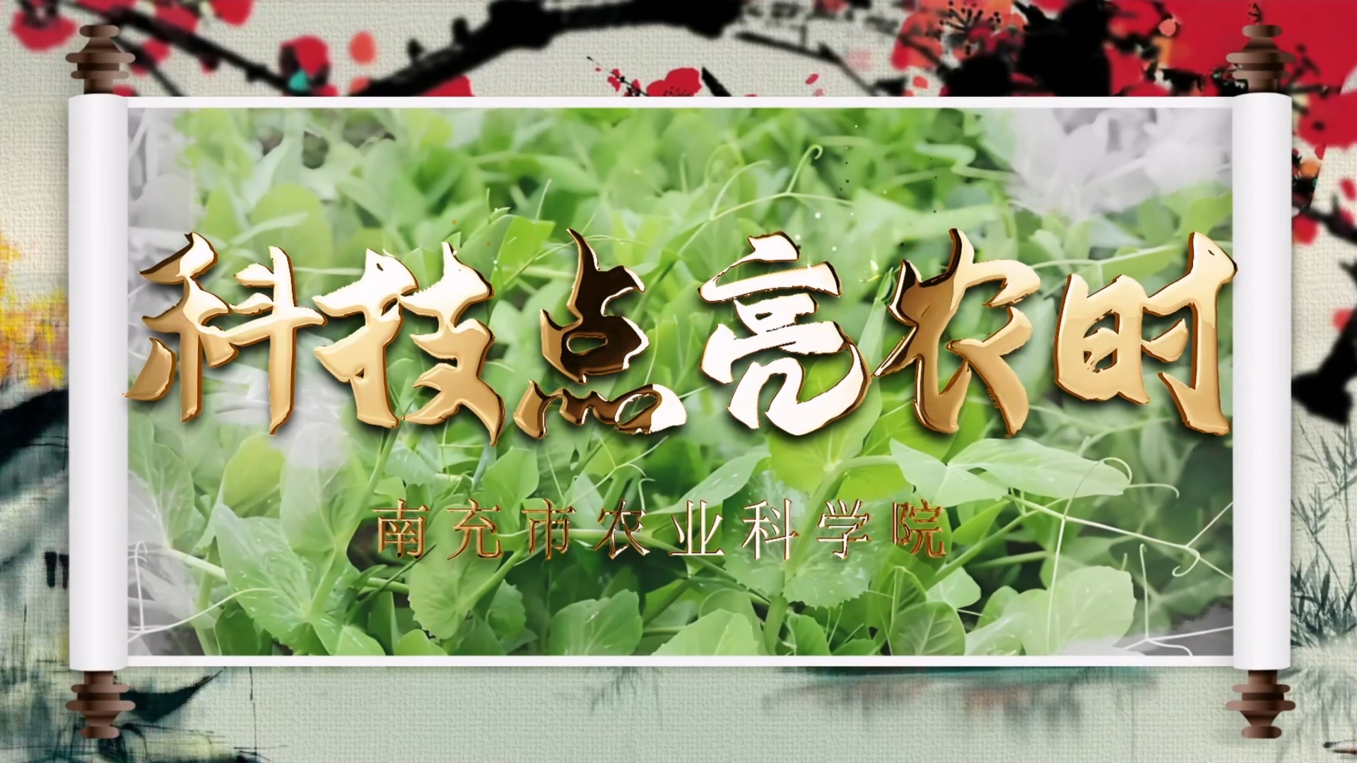 �Ƽ�����ũʱ���㶹��