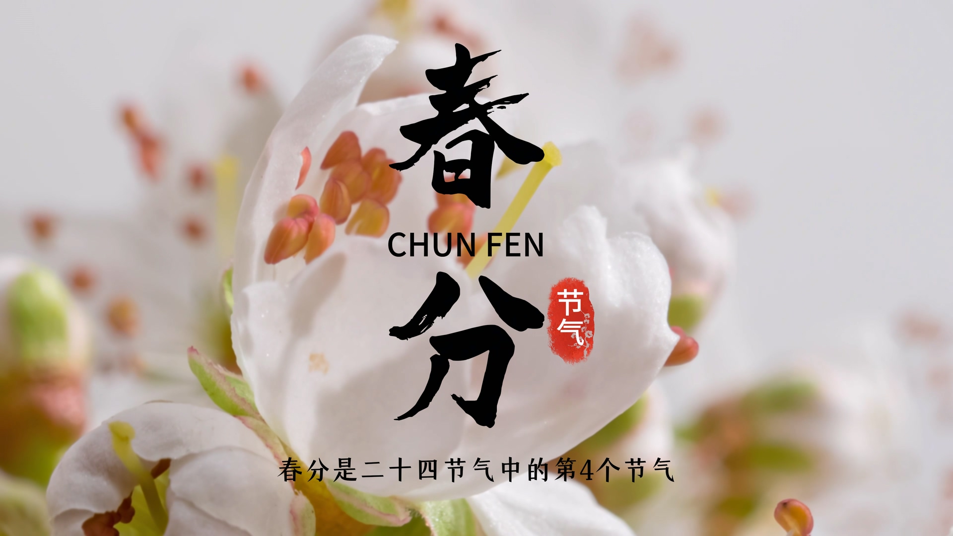 �Ƽ�����ũʱ��С��