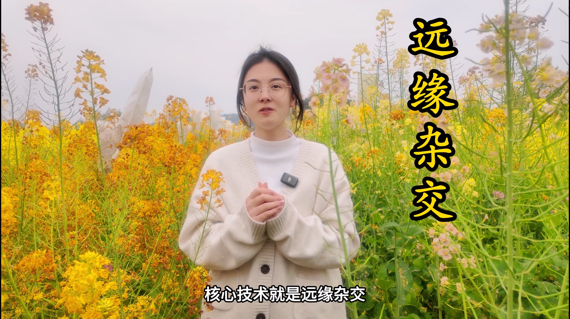 ����С֪ʶ����һ�ڣ�